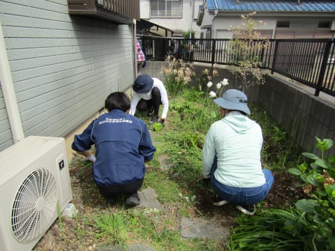 草むしり様子