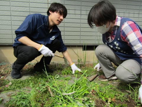 草むしり様子