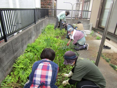 草むしり様子