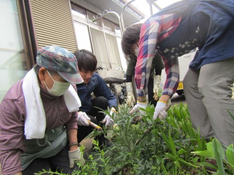 草むしり様子