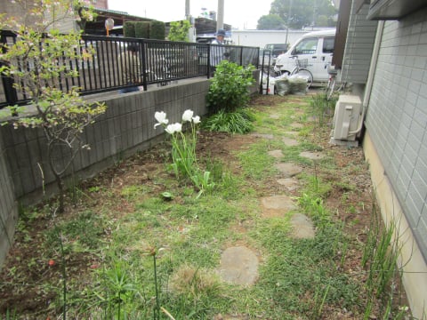 草むしり様子