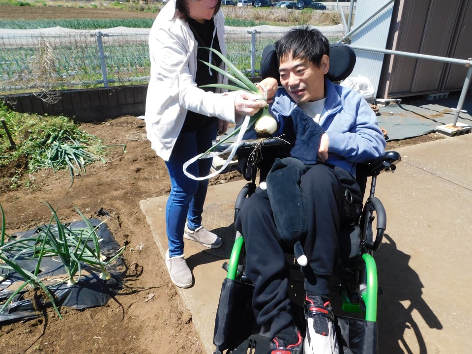 利用者による収穫の様子3