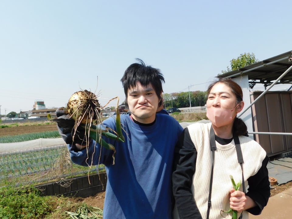 利用者による収穫の様子4