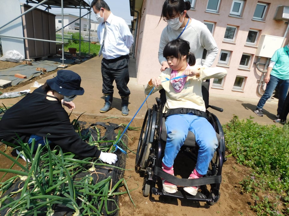 利用者による収穫の様子5