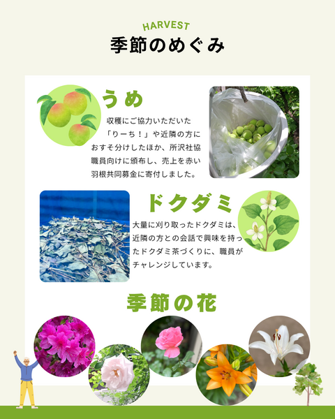 緑町拠点5月の活動報告03