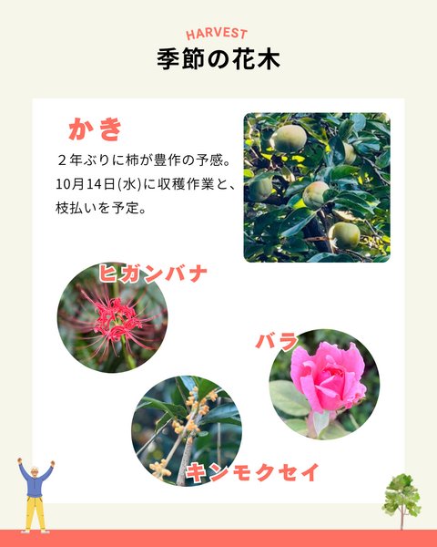 緑町拠点8・9月の活動報告04