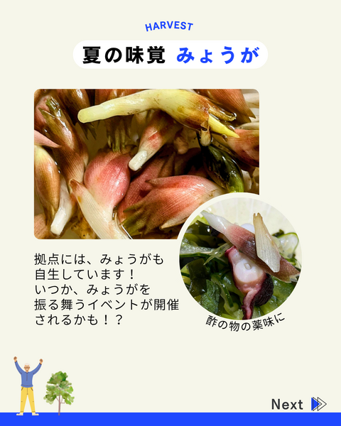 緑町拠点6・7月の活動報告04