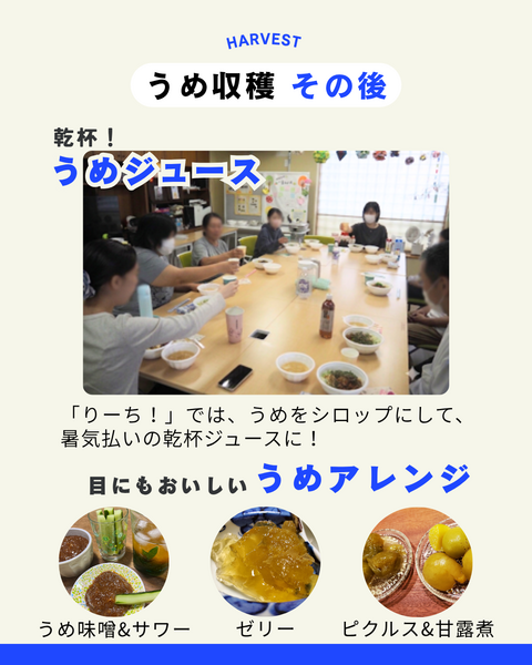 緑町拠点6・7月の活動報告05