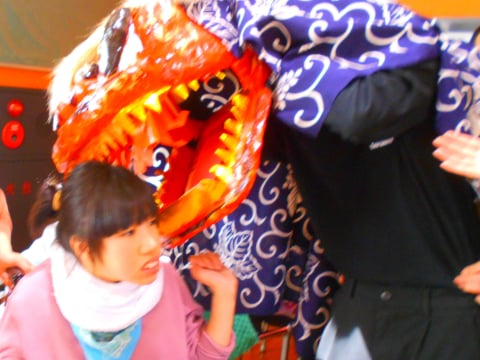 獅子が縁担ぎで頭をガブリ